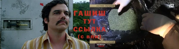 стаф Алексин
