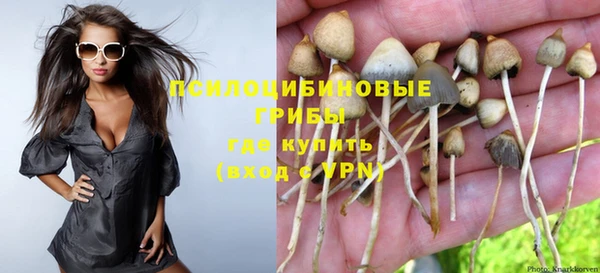 стаф Алексин