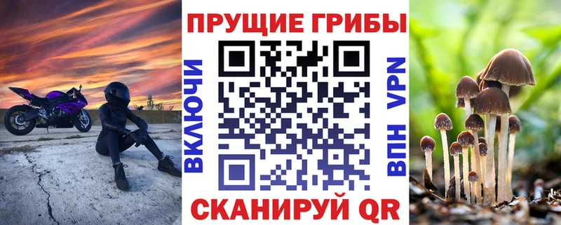 купить   Самара  Галлюциногенные грибы ЛСД 