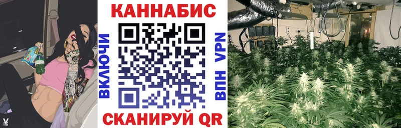 Бошки марихуана план где найти hydra как зайти Самара